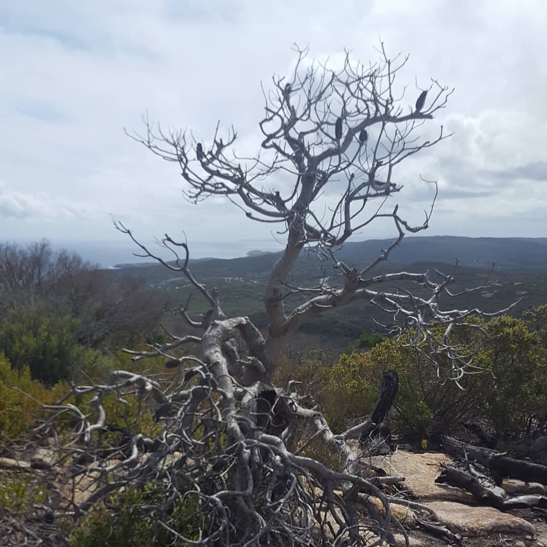 IMG_20171126_153437_373[1]