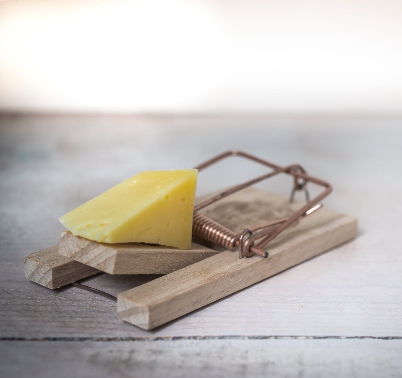 brown wooden mouse trap with cheese bait on top